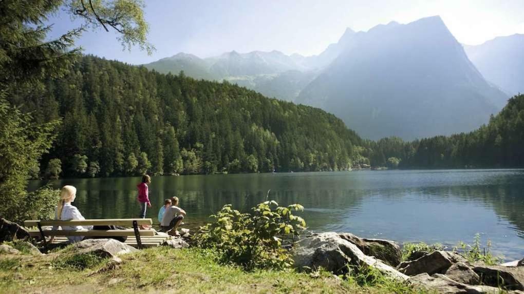 Waldblick *